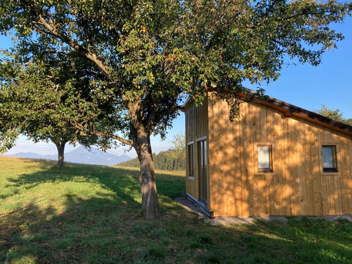 Tiny House Villa Mislinja Ngoại thất bức ảnh